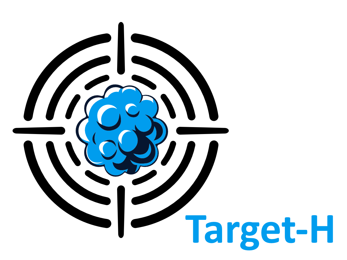 The image shows a graphically abstracted tumor structure with a crosshair superimposed on it. Next to it is the word “Target-H.”