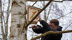 Der Oberkörper des Mannes ist von der Seite zu sehen. Er schlägt mit einem Hammer in der rechten Hand einen Nagel ein und hält mit der linken Hand den Nistkasten.