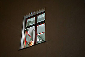 Studentin am Fenster