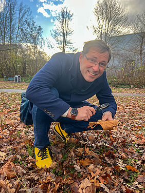 Der Professor hockt auf einer mit bunten Blättern zugedeckten Wiese. Durch eine Lupe betrachtet er ein Ahornblatt.