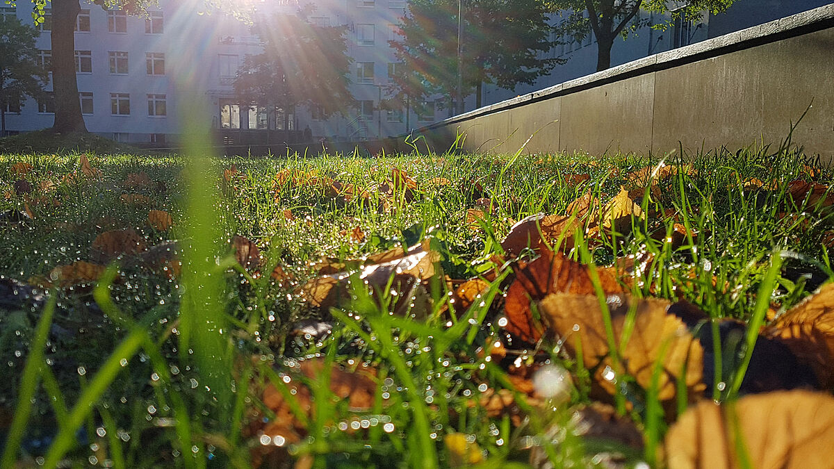 CoronaHerbst 2022 Hochschule Wismar