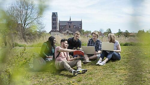 Es sind fünf Studierende auf der Wiese sitzend mit ihren Laptops zu sehen. Im Hintergrund ist eine der Wismarer Kirchen zu erkennen.