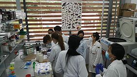 Es sind Studierende in weißen Kitteln zu sehen, die gemeinsam in einem Labor arbeiten. DieWand des Labors besteht aus Latten, die Luft einströmen lassen.