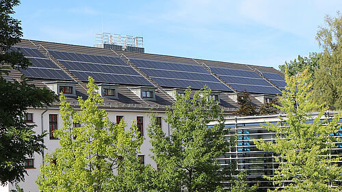 Über die Baumwipfel hinweg geht der Blick in Richtung Dach des Hauses 20, auf dem sich Solaranlagen befinden und Schornsteine.