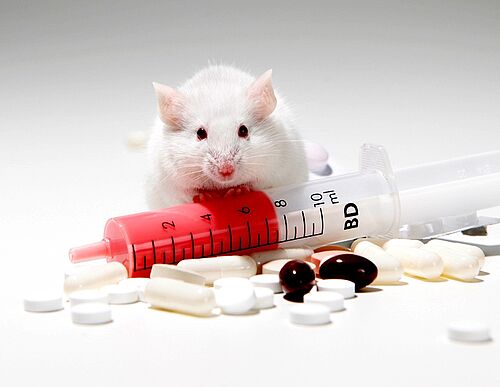 Eine weiße Maus schaut über eine mit roter Flüssigkeit gefüllte Spritze sowie über einen Tablettenhügel.
