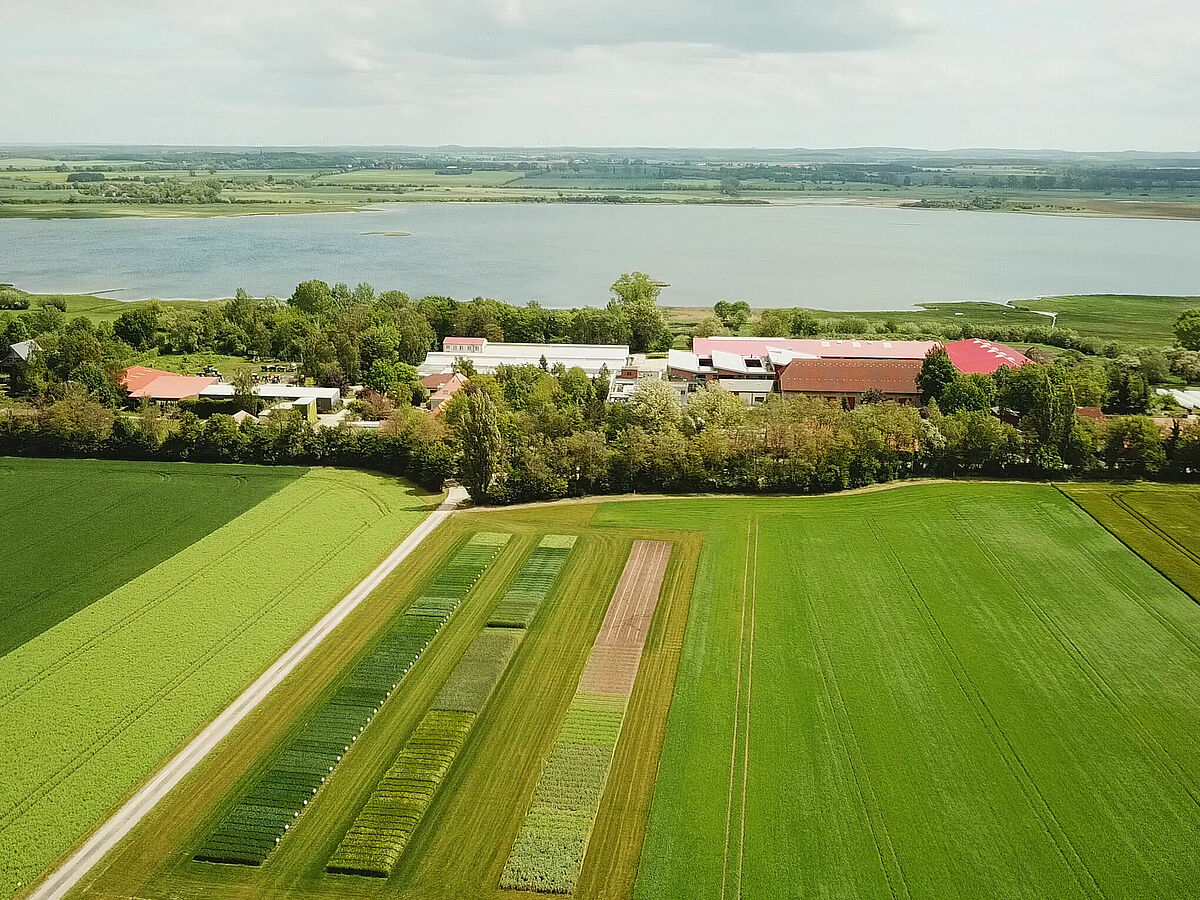 360° Tour Show Garden Malchow/Island of Poel