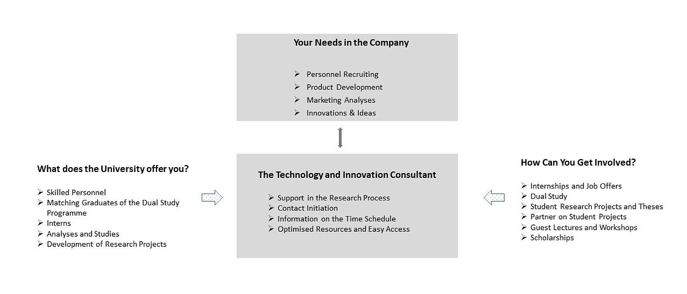 Technology and Innovation Consultant - Hochschule Wismar