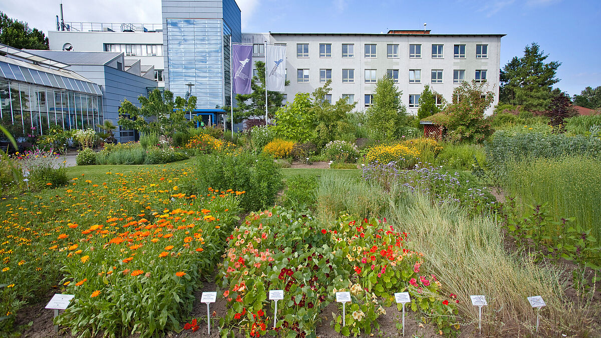 Beet mit beschrifteten Pflanzen und Blumen, im Hintergrund ein weißen, gläsernes Gebäude und eine blaue Flagge mit Hochschullogo